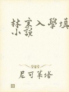 林寒入学填未婚小说