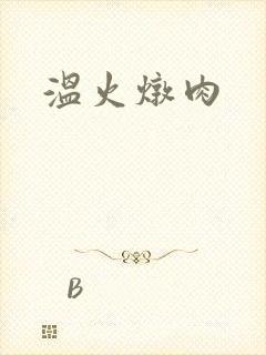 温火炖肉