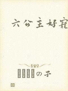 六公主好宠