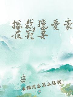 总裁猎爱豪门一夜宠妻