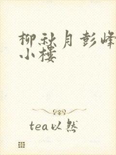 柳秋月彭峰月满小楼