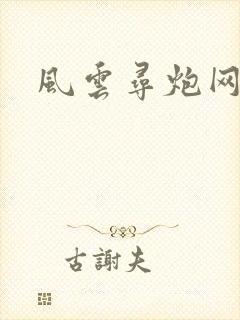 风云寻炮网