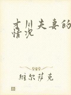 才川夫妻的恋爱情况