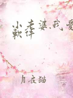 小老婆.我爱你软件