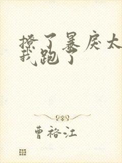 撩了暴戾太子后我跑了