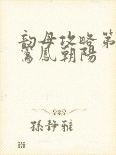 韵母攻略第二部鸾凤朝阳