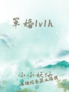 军婚1v1h