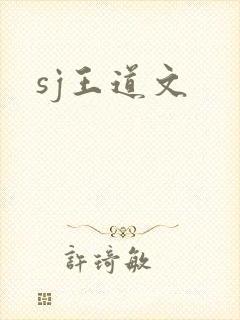 sj王道文