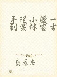 手从小腹一路开到丛林处古代