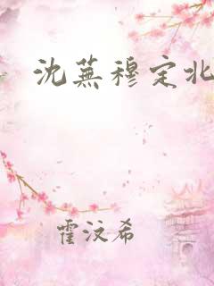 沈芜穆定北小说