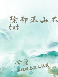 除却巫山不是云txt