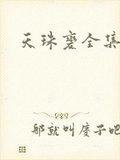 天珠变全集下载