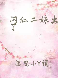 网红二妹出啥事了