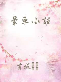 晕车小说