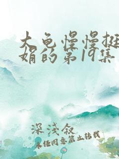 大龟慢慢挺进张娟的第19集