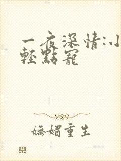 一夜深情:小叔轻点宠