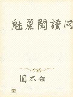 魅丽阅读网