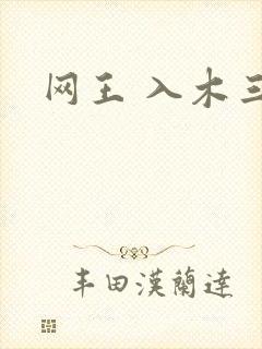 网王 入木三分