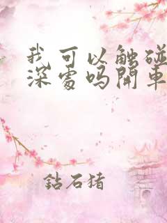 我可以触碰你的深处吗开车作文