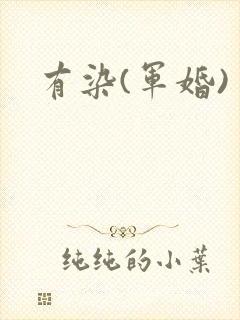 有染(军婚)