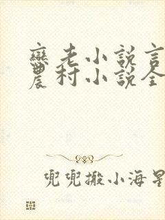 恋老小说言情网农村小说全文阅读