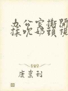 办公室撕开奶罩揉吮奶头视频