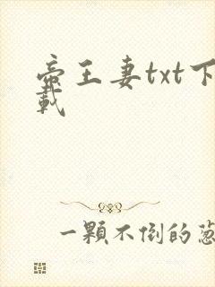 帝王妻txt下载
