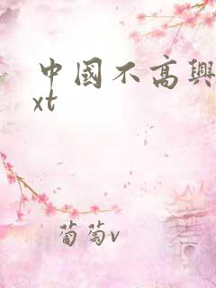 中国不高兴 txt