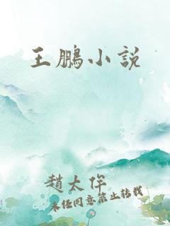 王鹏小说