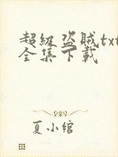超级盗贼txt全集下载