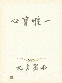 心宝唯一