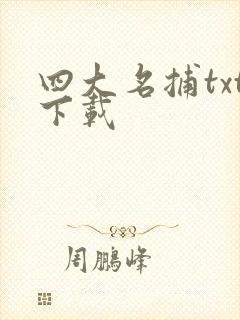 四大名捕txt下载
