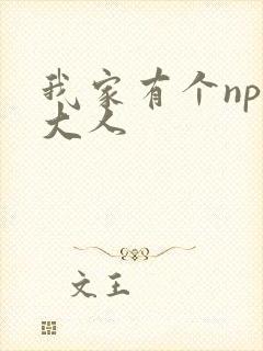 我家有个npc大人