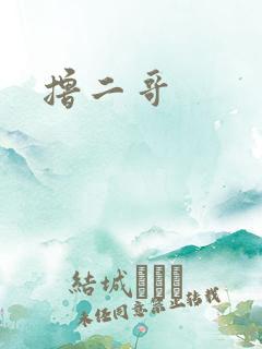 撸二哥