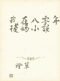 我在八零年代当后妈小说