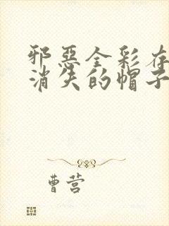 邪恶全彩存在感消失的帽子