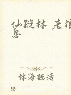 仙踪林 老狼信息