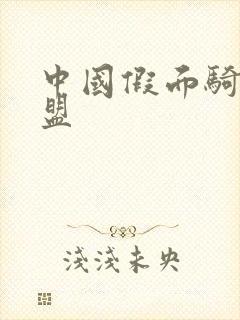 中国假面骑士联盟