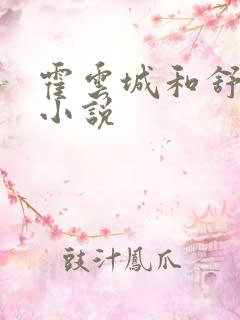 霍云城和舒情的小说