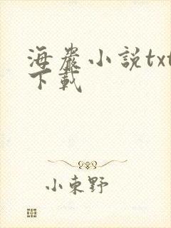 海岩小说txt下载
