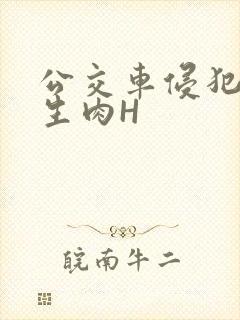 公交车侵犯小男生肉H