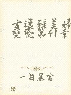 方逸雅美妇厨房双飞第41章