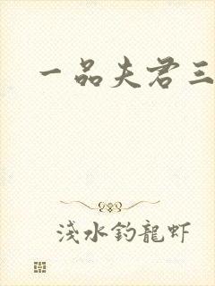 一品夫君三流妻