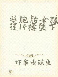 双胞胎女孩双双从14楼坠下