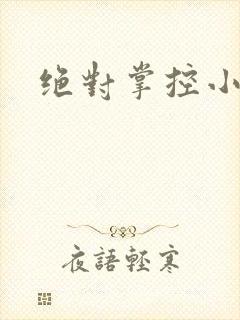 绝对掌控小说