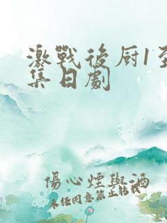 激战后厨1至5集日剧