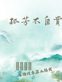 孤芳不自赏小说