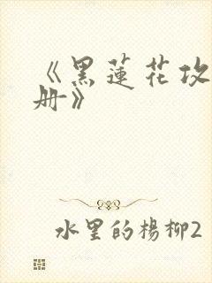 《黑莲花攻略手册》