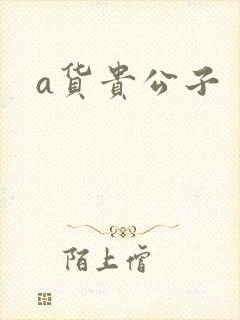 a货贵公子