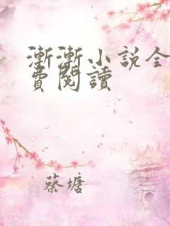 渐渐小说全文免费阅读